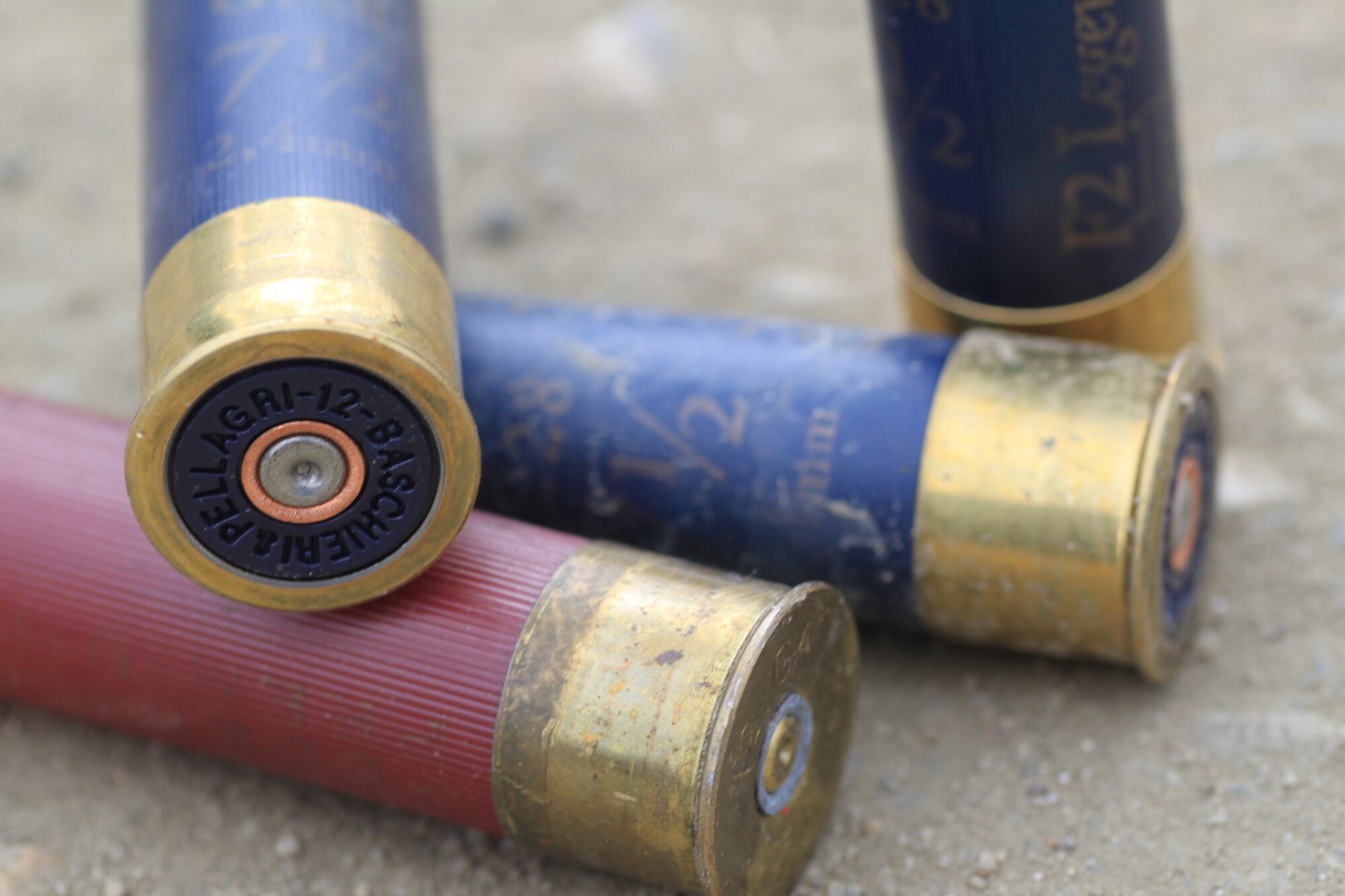 Types of Bullets: How to Get Started Using Brass for Reloading