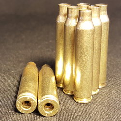 5.56/223 Brass Fully Processed (100 Sample Pack)