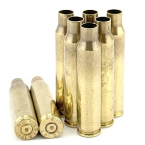 5.56 LAKE CITY 200
