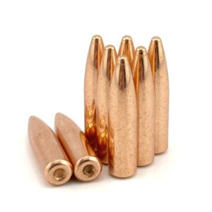 .300 AAC BLACKOUT (.309) 220gr Spire Point 500 ct.