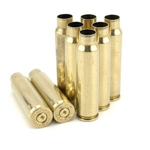 .300 SAVAGE - 100+