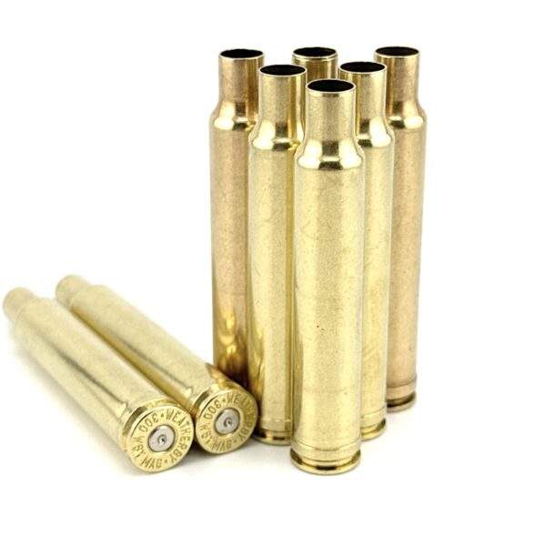 .300 WEATHERBY MAG 25 ct.