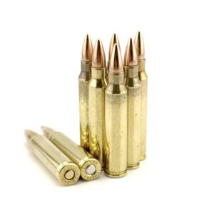 .223/5.56 TEAR DOWNS™ 300CT