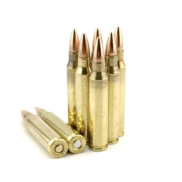 .223/5.56 TEAR DOWNS™ 300CT